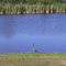Fort Myers/Lehight Acres