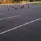 Geese at First Coast Overhead Door Company