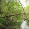Waking Up From Winter.......Spring on the Willow River