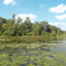 Willow River State Park