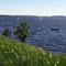 Memorial Day Weekend on the St Croix River