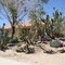Knox Ave Desert Landscape