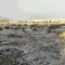 Snow Pana In Rosamond