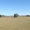 Near Wacahoota