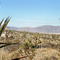 near Mojave / Hwy 58