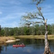 Fisheating Creek