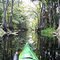 Fish Eating Creek