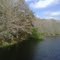 Pond At Glades County, Florida