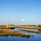 Florida Everglades [or part of it ]