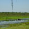 Lake Ocklawaha