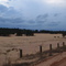 Sand Land