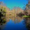 Ocklawaha River, Ocala National Forrest