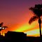 ** Golden Anaheim **