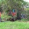 Tree Frog trail