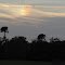 Sun Dog at Jungle Trail