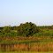 Indian River County, Florida