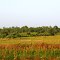 Indian River County, Florida