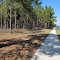 Walking Path, Apopka, FL
