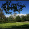 Blue sky day at the park.