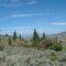 10 Miles North of Tonasket