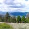 Cascade Panarama