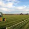 Our Lawn - Before It Was Delivered