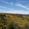 Grand Mesa autumn colours.