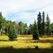 (42)Lost Meadow, San Isabel National Forest, Fremont County, Colorado