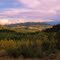 (54)My Property's Vista, San Isabel National Forest, Chaffee County, Colorado