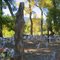 Salida pet cemetery