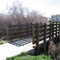 Trail Bridge