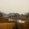Salt Marsh at Norwalk, CT on a Rainy Friday