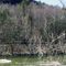 Nagatauck River