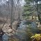 Hop Brook