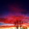 Winter sunset of 2010