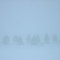 Fog Pines