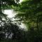 Lums Pond & Turtle from Swamp Forest Trail