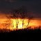 Jamison Corner Road sunset