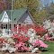 Beautiful yard in Odessa Delaware