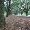 The Oaks