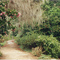 Edisto Memorial Gardens - Orangeburg, SC