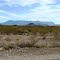Chisos Mts. from Terlingua Ranch