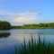Un lac dans les landes