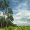 Landes, Castets