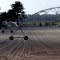 Machinerie d'irrigation en arrivant à Lesperon (Landes