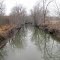 The Salt Creek:  Looking towards Kenney.