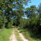 Promenade du Zix