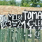 Tomates, melons, prunes, poires etc....