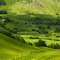 vert france