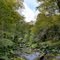 STREAM IN PYRENEES   (FRANCE, ARETTE)